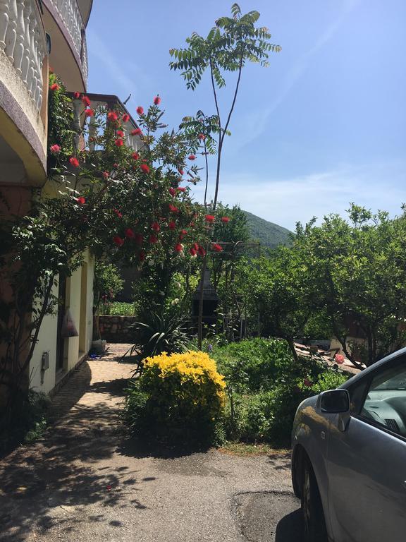Sunny Villa Apartments Μπούντβα Εξωτερικό φωτογραφία
