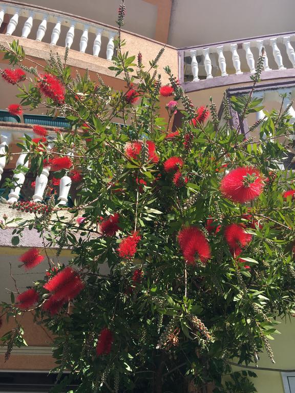 Sunny Villa Apartments Μπούντβα Εξωτερικό φωτογραφία
